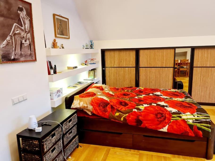 Jeruzale Park View Apartment Wilna